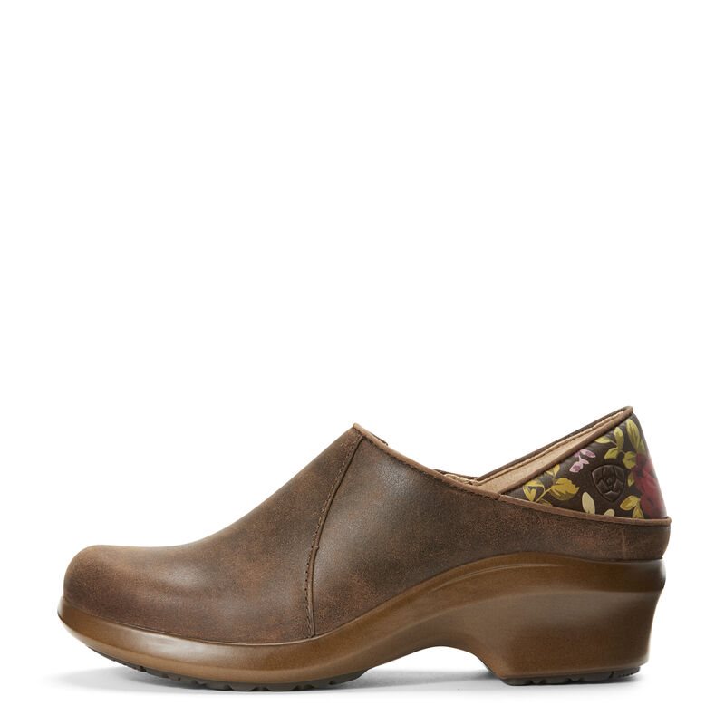 Ariat Work: Hera Expert Zuecos Mujer - Marrones (XEFNV5168)